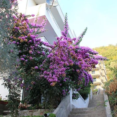 Petrovac 4M Apartments מראה חיצוני תמונה